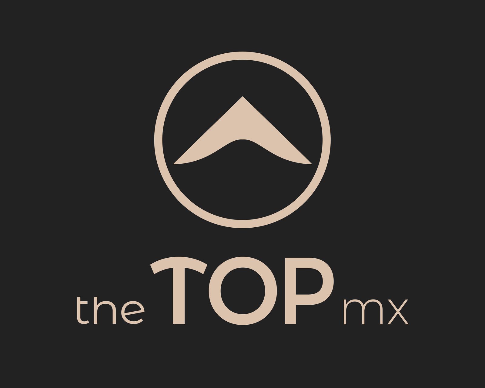 Logo The Top Logo The Top